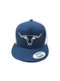 Longhorn hat